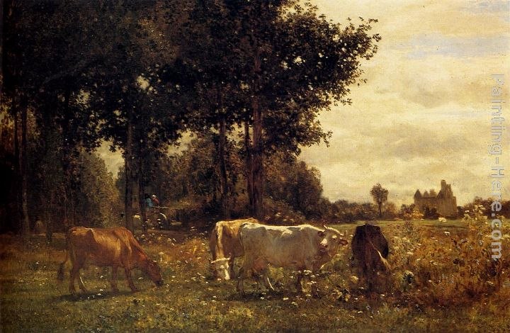Constant Troyon Cows Grazing